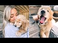 PUPPY Q+A | naming him, training, accidents, what breed, etc !