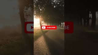 Surah Nisa ayat 76-77 urdu Translation | Al Quran