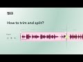 Trim and Split Audio with Podcastle