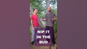 BUD VS.  BUTT #SHORTS