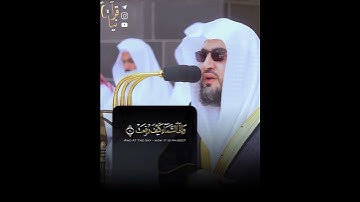 ﴿أَفَلا يَنظُرونَ إِلَى الإِبِلِ كَيفَ خُلِقَت﴾ من سورة الغاشية للشيخ بندر بليله 🤍..