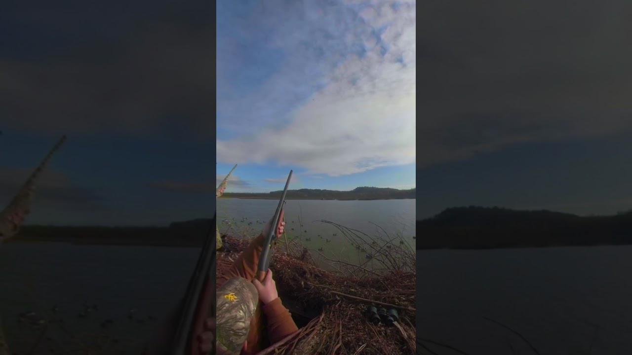 Illinois Duck Hunting 2020 Sky busting a single Greenhead