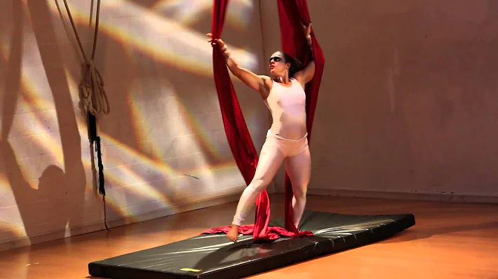 Julie Hopper Aerial Insanity