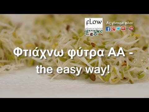 Βίντεο: Πώς να φτιάξετε σαλάτα φύτρου σιταριού