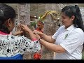 कल्पवृक्ष पूजन Womens Wing of Shree Kalptaru Sansthan - NGO Volunteer Monika