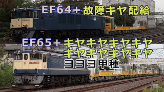 PFキヤキヤキヤキヤキヤキヤキヤキヤヨヨヨ甲種/EF64+故障キヤ配給