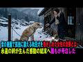 【実話】雪深い廃屋に繋がれ、死を待つしかなかった秋田犬…人間への絶望と裏切りを乗り越え、ひとりの女性が起こした“涙の奇跡”と永遠の絆