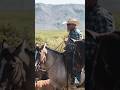 Rancher, Cattle Struck, Killed by Lightning in Colorado