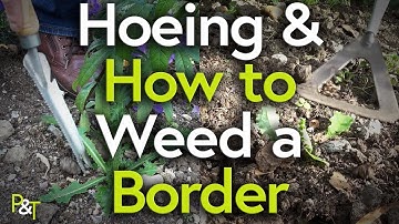 How to Weed a Border (Hoeing and Hand Weeding) - Pots & Trowels