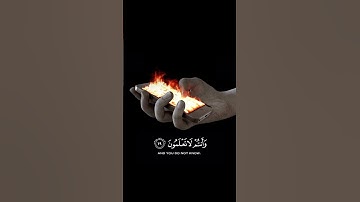 القران الكريم #اكسبلور #تيك_توك #لايك #ترند #duet #دويتو #راحة_نفسية #ترند_تيك_توك #اكسبلورر #علم