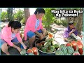 Paano Mag Harvest ng Buto ng Pakwan ( Libreng Pakwan ) | BUHAY PROBINSYA