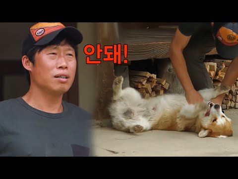 3bob 겨울이 안 돼! 일단 안 돼! 160812 EP.7