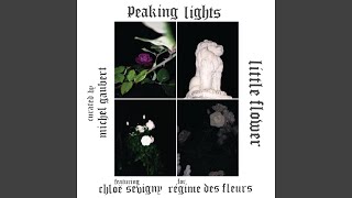Little Flower (Instrumental)