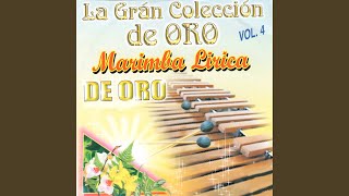 Miniatura de vídeo de "Marimba Lirica De Oro - Popurri Sureste"