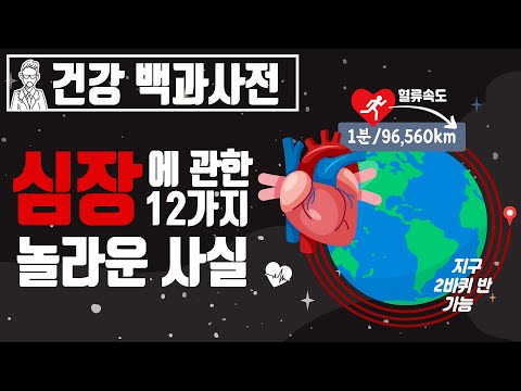 우리가 잘 몰랐던 심장에 관한 놀라운 사실 12가지 @세모지