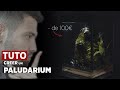 TUTO : LES ETAPES POUR CREER UN PALUDARIUM