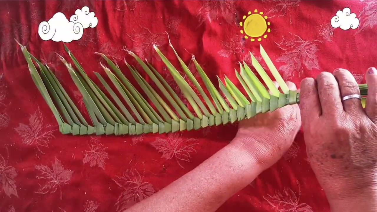 Como tejer palma para domingo de ramos y pascua. 