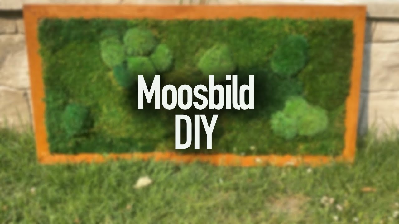 So baust du ein atemberaubendes Moosbild für dein Zuhause