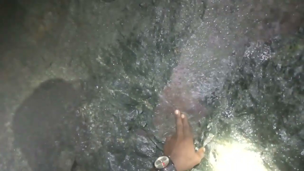 How to determine the availability of gold mineralization in shear zone.