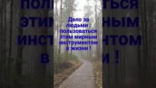 Юмор продлевает жизнь ! Сглаживает конфликты ! Восстанавливает нервы !