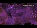 Porphyra Hybrid Synth Demo | Normandy (Mass Effect) Cinematic Sound Exploration