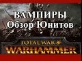 Total War: Warhammer - Вампиры Обзор Юнитов