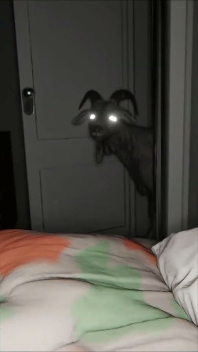 Cursed Goat😲😨😱 #ghost #creep #shorts #short #shortvideo #viral #video #viralvideo #asmr #goat
