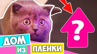 СТРОИМ ДОМ ИЗ ПИЩЕВОЙ ПЛЕНКИ ДЛЯ КОТЕНКА БАТТЕРСА | КОТЕНОК БАТТЕРС ОЧЕНЬ ДОВОЛЕН И ИГРАЕТСЯ