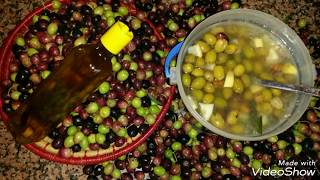 الطريقة الناجحة لترقيد او تخليل الزيتون الاخضرمع حيلة ذكية لتجديد زيت الزيتون القديمة
