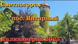 видео: Светлогорск, поселок Янтарный, Калининград 2023 / Svetlogorsk, Curonian Spit, Yantarny, Kaliningrad картинка: Светлогорск, поселок Янтарный, Калининград 2023 / Svetlogorsk, Curonian Spit, Yantarny, Kaliningrad