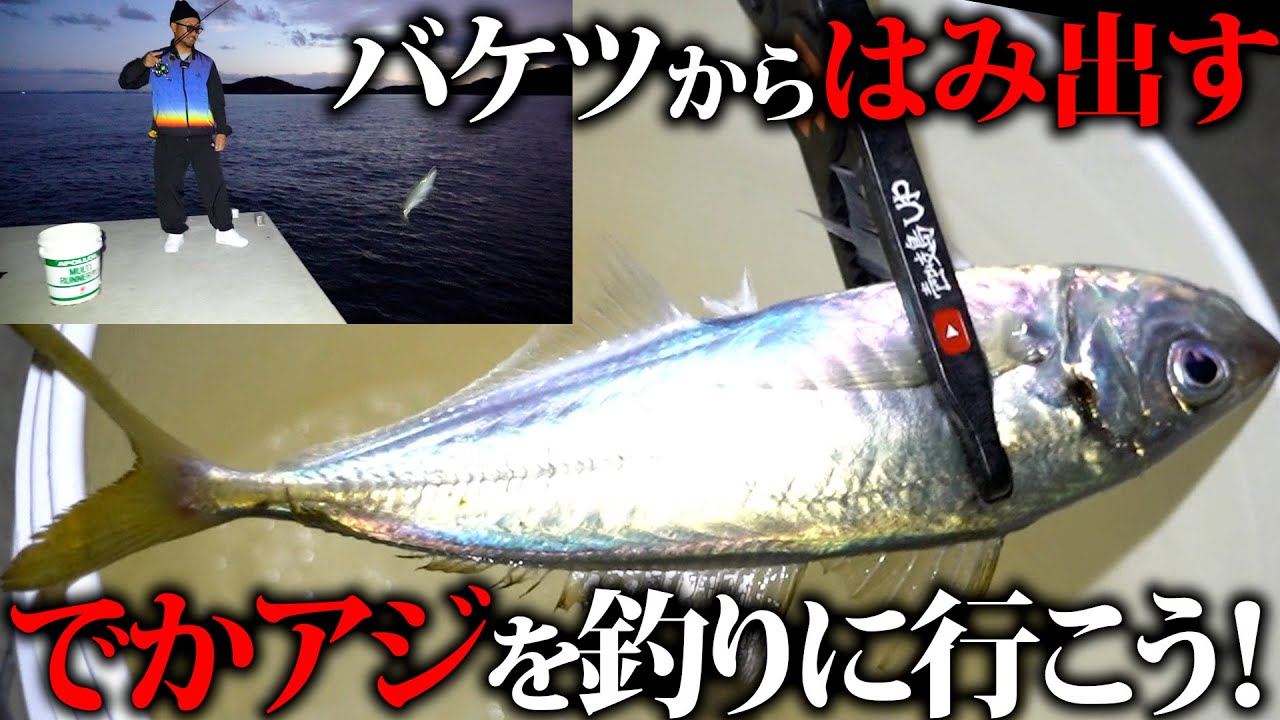 でかアジはここで釣れ！／行動パターンで釣り場を分析／穴場はここだ！長崎県壱岐島～長嶋博雅（ながしま・ひろまさ）