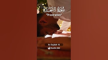 Surah As-Sajdah (Prostration) 15 | Urdu | Hindi Audio Translation |  سورة السجدة