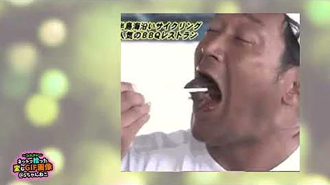 面白画像吹いたら負け