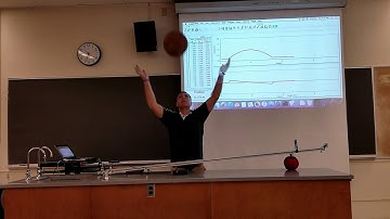 Freefall is Constant Acceleration