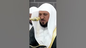 سورة إبراهيم | الشيخ #ماهر_المعيقلي