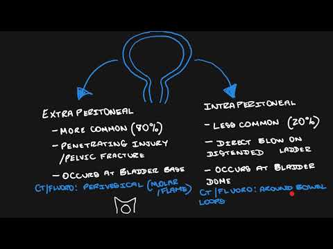 Urinary bladder rupture