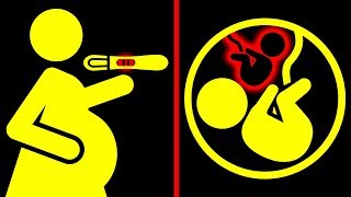 Peut-on Retomber Enceinte Alors Qu'on Est Déjà Enceinte ?
