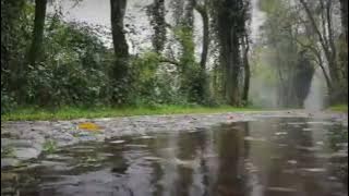 SEBUAH NAMA  COVER VERSI INDIA cipt.Rhoma irama