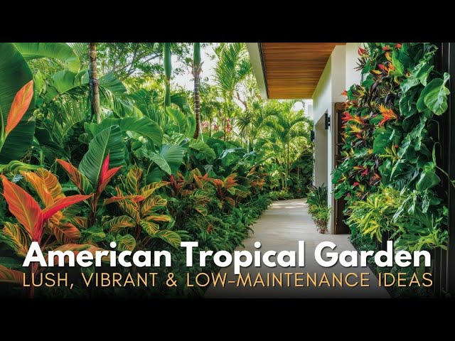 Picture of Tropical Garden Low Maintenance Plants Discover Some Of The Best