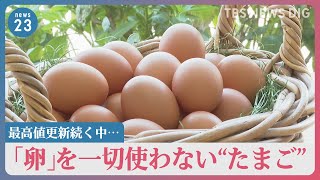 卵だけどたまごじゃない！ 価格高騰で注目が集まる「代替卵」とは？大手食品メーカーやベンチャー企業も続々参入【news23】｜TBS NEWS DIG