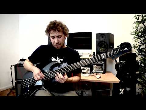 Dream Theater Through Her Eyes fretless bass cover