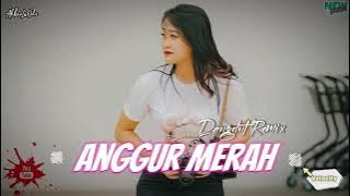 Anggur Merah - Lagu Dj Dangdut Remix Terbaru || Velocity Viral TikTok || AkbarLaOde