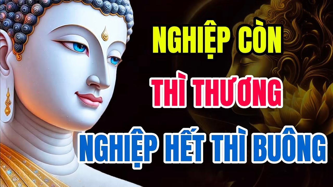Phật Dạy: Nghiệp Còn Thì Thương - Nghiệp Hết Thì Buông, Đừng Khổ Lụy