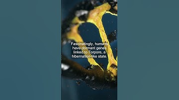 Could We Hibernate For Space Travel?