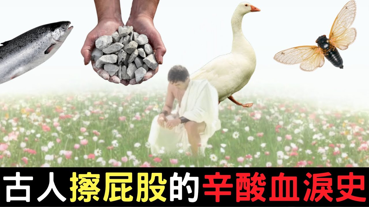 古人是怎樣擦屁股的？竟然用石頭、鵝、蟬還有三文魚？！｜叉雞