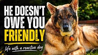 My Reactive Dog Doesn’t Need To Be Friendly To Everyone