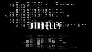 Dj Bigbelly - Random Shit