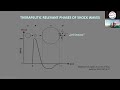 Introduction to Modern Shock Wave Therapy second session   EMS Pain Therapy