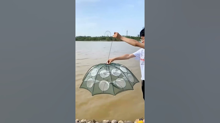 Foldable fishing umbrella net trap fishing gear and tools #fishing #fishinggear#fishingtackle #fish