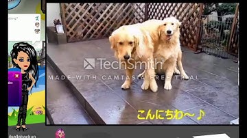 How to Get starcoins fast on MSP! No Hack needed.